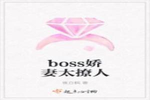 boss娇妻太撩人