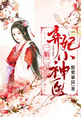 一胎二宝：弃妃小神医